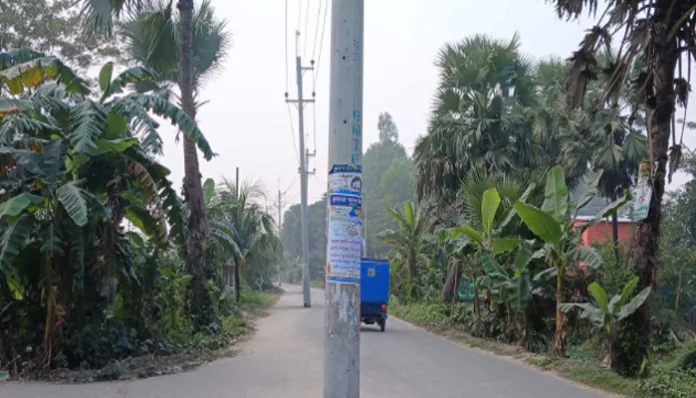 নোয়াখালীতে অর্ধশত বিদ্যুতের খুঁটি রেখেই সড়কে কার্পেটিং