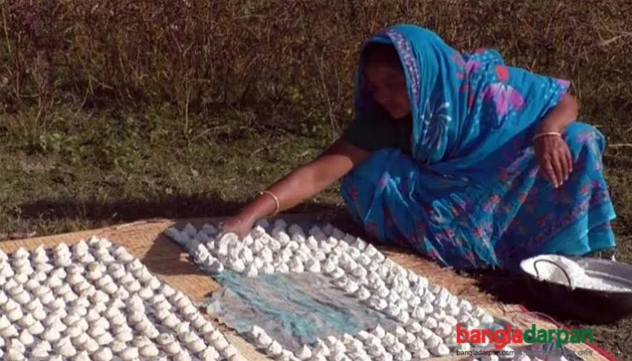 নড়াইলে গ্রাম বাংলার ঐতিহ্যবাহী কুমড়া বড়ি তৈরি করে সংসার চালান নারীরা